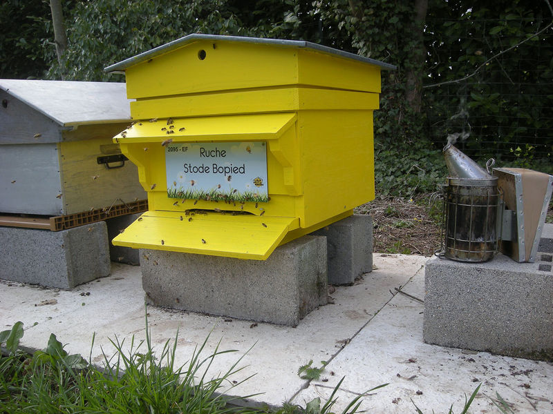 La ruche Stode Bopied